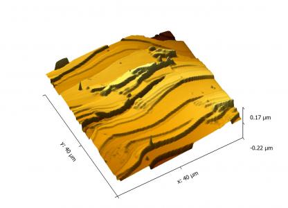 Example topography